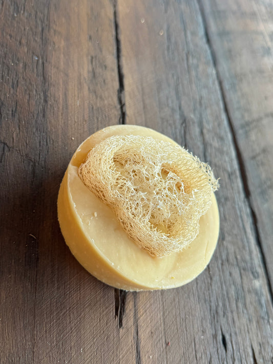 Orange Twist - Loofah bar