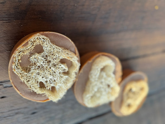 Coffee Bean - Loofah bar